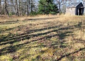 1957 Milk Rd., Yellow Spring, WV  26865