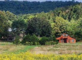 45 Cougar Hollow Rd, Romney, WV  26757