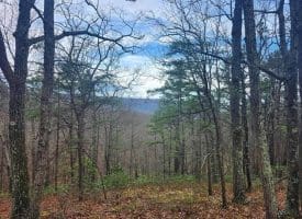 4.73 Ac Brown Cardinal Ridge, Romney, WV  26757