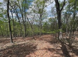 10 AC Moon Ridge Ln, Burlington, WV  26710