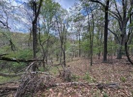 5 Ac Beam Rd., Romney, WV  26757