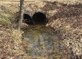 Dillions Run Road, Capon Bridge, WV  26711