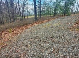 4.73 Ac Brown Cardinal Ridge, Romney, WV  26757