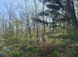 68 Mountain Rd., Augusta, WV  26704