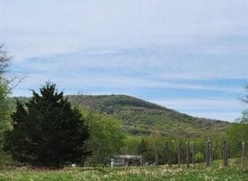 231 Stoney Apple Dr., Romney, WV  26757