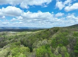 10 AC Moon Ridge Ln, Burlington, WV  26710