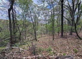 5 Ac Beam Rd., Romney, WV  26757