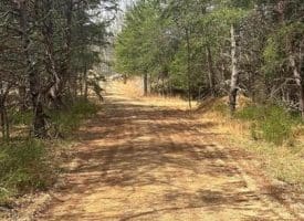 Dillions Run Road, Capon Bridge, WV  26711