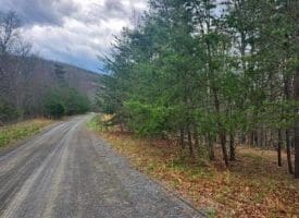 4.73 Ac Brown Cardinal Ridge, Romney, WV  26757