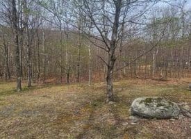 Goldenseal Rd Lot # 46, Maysville, WV  26833