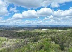 10 AC Moon Ridge Ln, Burlington, WV  26710