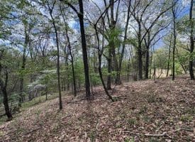 5 Ac Beam Rd., Romney, WV  26757