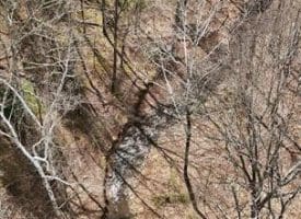 Lot 62 Phase 2 Crest Haven, Romney, WV  26757