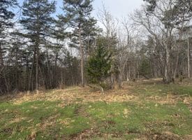 401 Charles Way, Purgitsville, WV  26845