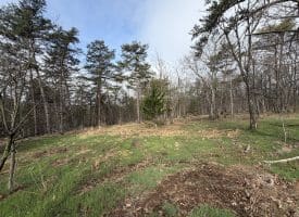 401 Charles Way, Purgitsville, WV  26845