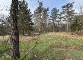 401 Charles Way, Purgitsville, WV  26845