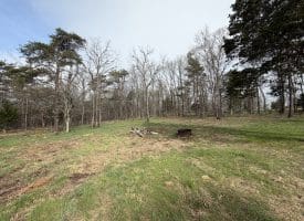 401 Charles Way, Purgitsville, WV  26845