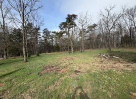 401 Charles Way, Purgitsville, WV  26845