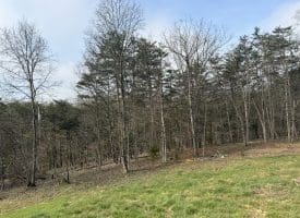 401 Charles Way, Purgitsville, WV  26845