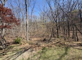 206 Mountain View Dr., Paw Paw, WV  25434