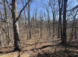 206 Mountain View Dr., Paw Paw, WV  25434