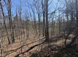 206 Mountain View Dr., Paw Paw, WV  25434