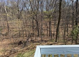 206 Mountain View Dr., Paw Paw, WV  25434