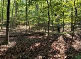 4.73 Ac Brown Cardinal Ridge, Romney, WV  26757