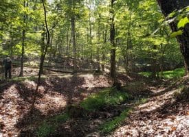 4.73 Ac Brown Cardinal Ridge, Romney, WV  26757