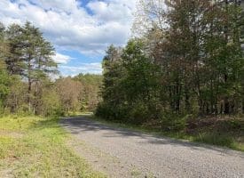 Green Ridge Dr., Green Spring, WV  26722