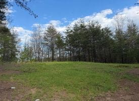 Green Ridge Dr., Green Spring, WV  26722