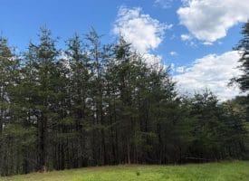 Green Ridge Dr., Green Spring, WV  26722