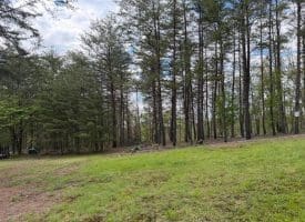 Green Ridge Dr., Green Spring, WV  26722