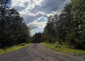 Green Ridge Dr., Green Spring, WV  26722