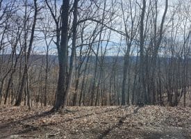 LOT 17 TOP DRIVE, ROMNEY, WV