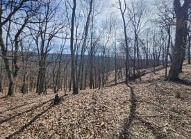 LOT 17 TOP DRIVE, ROMNEY, WV