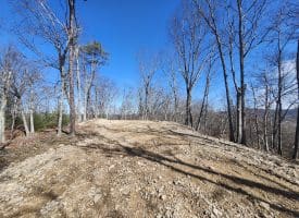 LOT 17 TOP DRIVE, ROMNEY, WV