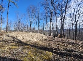 LOT 17 TOP DRIVE, ROMNEY, WV