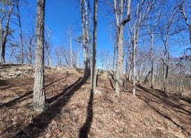 LOT 17 TOP DRIVE, ROMNEY, WV
