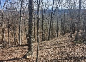 LOT 17 TOP DRIVE, ROMNEY, WV