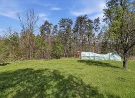 1264 Tearcoat R., Augusta, WV 26704