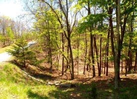 Lot 120 Crossings @ Cacapon, Paw Paw, WV  25434