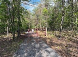 Green Ridge Dr., Green Spring, WV  26722