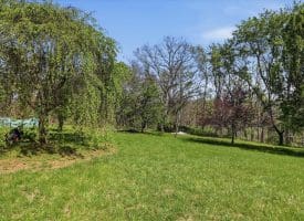 1264 Tearcoat R., Augusta, WV 26704