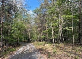 Green Ridge Dr., Green Spring, WV  26722