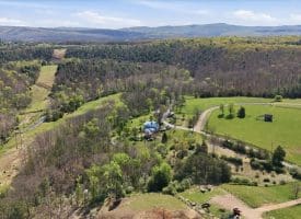 1264 Tearcoat R., Augusta, WV 26704