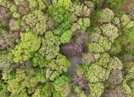 355 Hemlock Ct., Paw Paw, WV  25434
