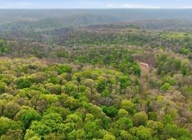 355 Hemlock Ct., Paw Paw, WV  25434