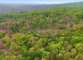 355 Hemlock Ct., Paw Paw, WV  25434