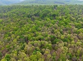 355 Hemlock Ct., Paw Paw, WV  25434